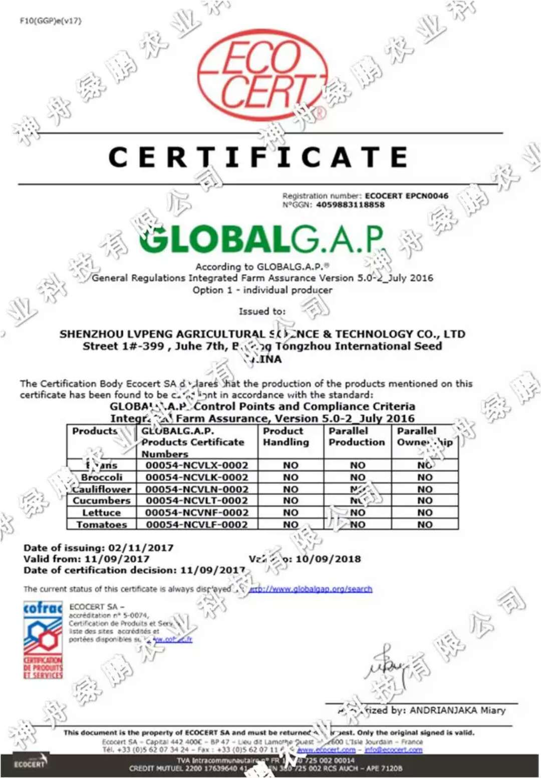 beat365 手机版官方网站旗下神舟绿鹏喜获GLOBALG.A.P认证1.jpg