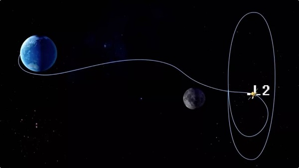 中继星一岁了5.jpg